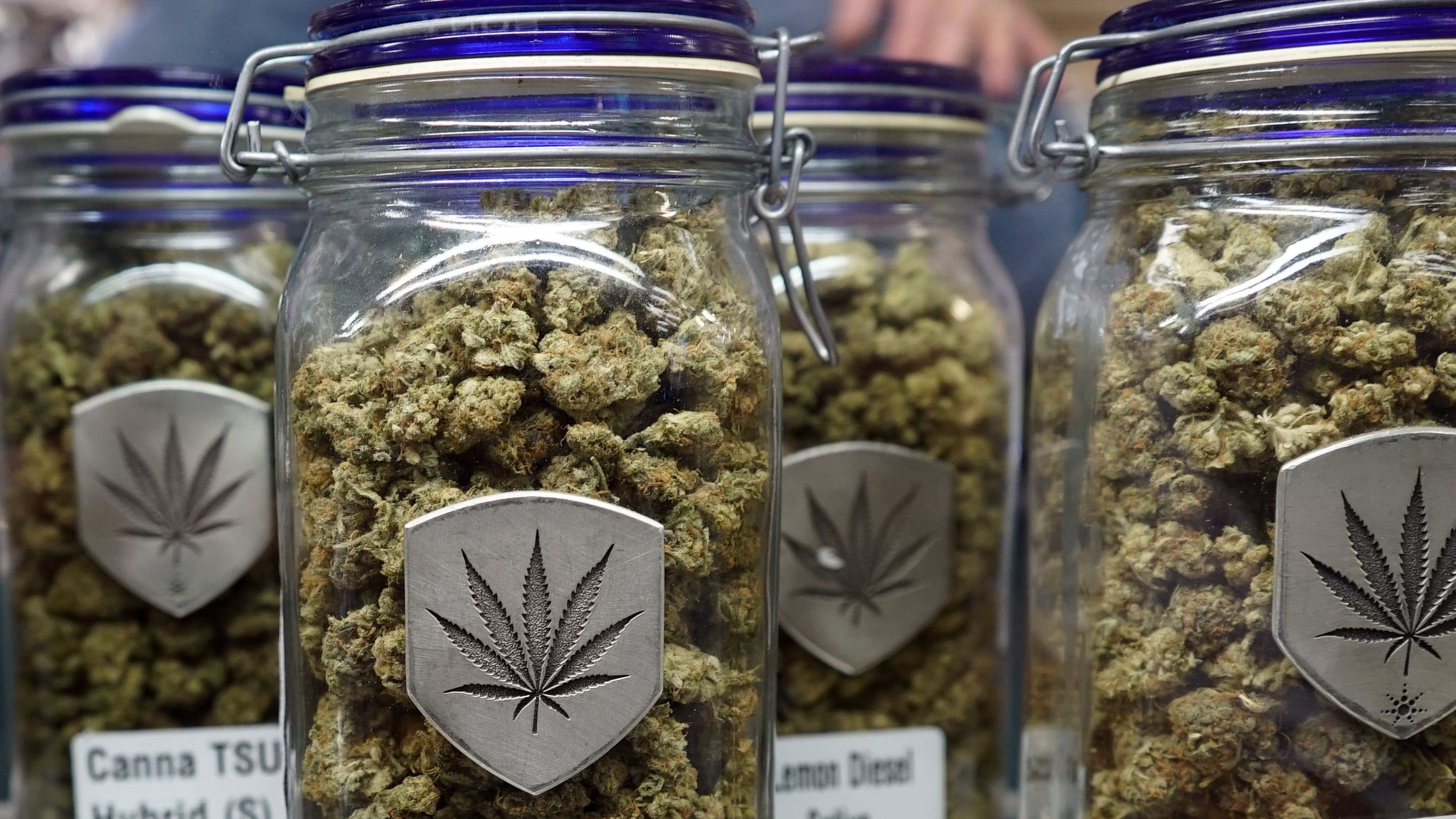 Hawaii's Attorney General Now Backs Legalizing Marijuana And Says He Will Work To Get Reform Passed Next Year!