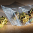Texas Activists Protest After Local Legislators Reject Voter-Approved Marijuana Legalization Measures!
