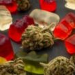 Increased Use and Potency of Marijuana May Have an Impact on The Workforce.