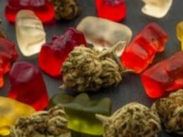Increased Use and Potency of Marijuana May Have an Impact on The Workforce.