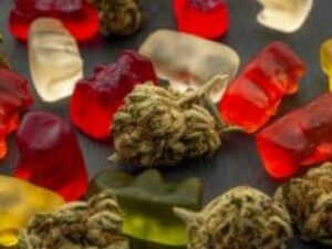 Increased Use and Potency of Marijuana May Have an Impact on The Workforce.
