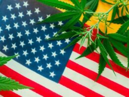 First Marijuana Bill Of The New Congress Is A GOP-Led Gun Rights Measure