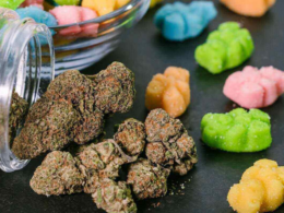 Usage of Edible Marijuana Is Rising Among Kids, Study Finds!