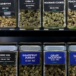 Hercules Will Be Applying For a Sales Tax on Marijuana in April!