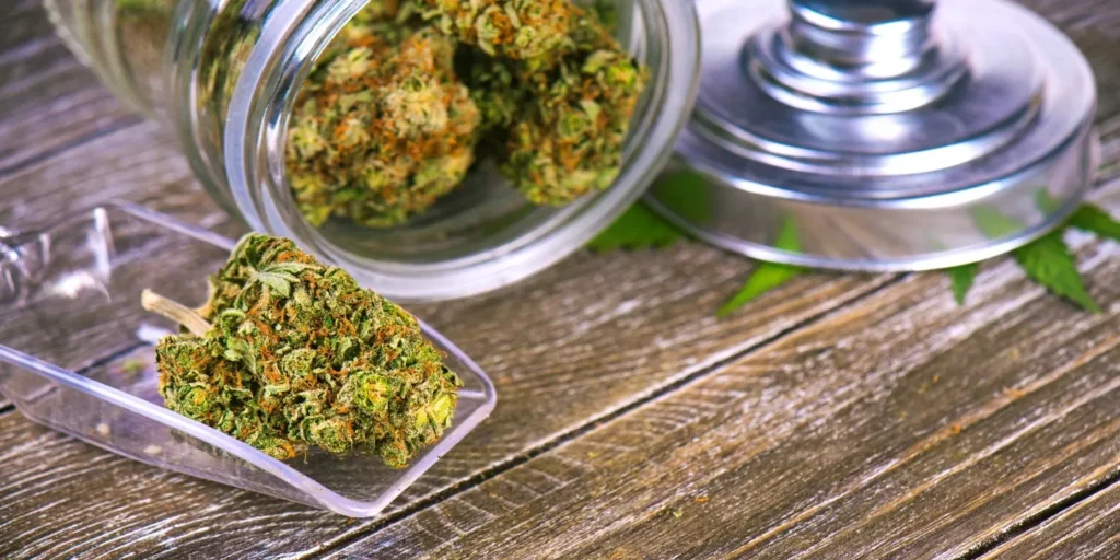 A Marijuana Company Stated: "We Want To Be a Part of That Story"!
