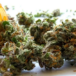 Democrats in The Iowa House Submit a Plan To Legalize Marijuana For Recreational Use!