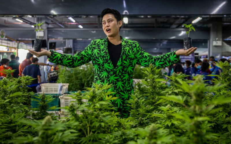 A Marijuana Company Stated: "We Want To Be a Part of That Story"!