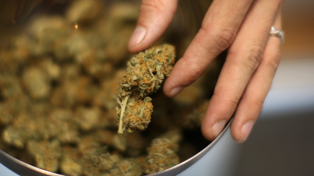 A Marijuana Company Stated: "We Want To Be a Part of That Story"!