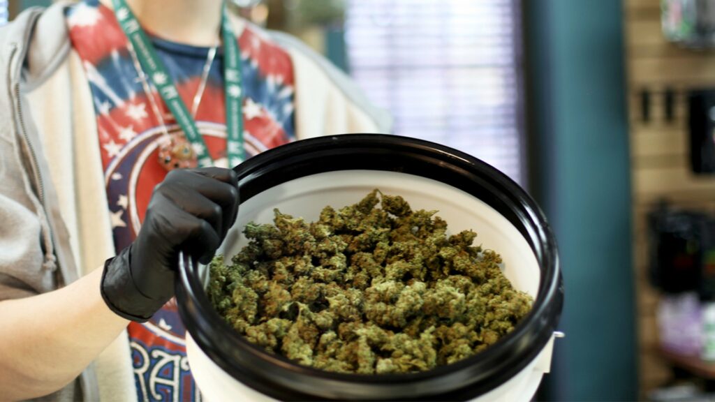 American Medical Association Study Links Long-Term Medical Marijuana Use To Lower Opioid Doses!