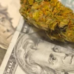 A New Bill Could Make It Possible for Doctors In Florida To Write Medical Cannabis Prescriptions Over the Phone