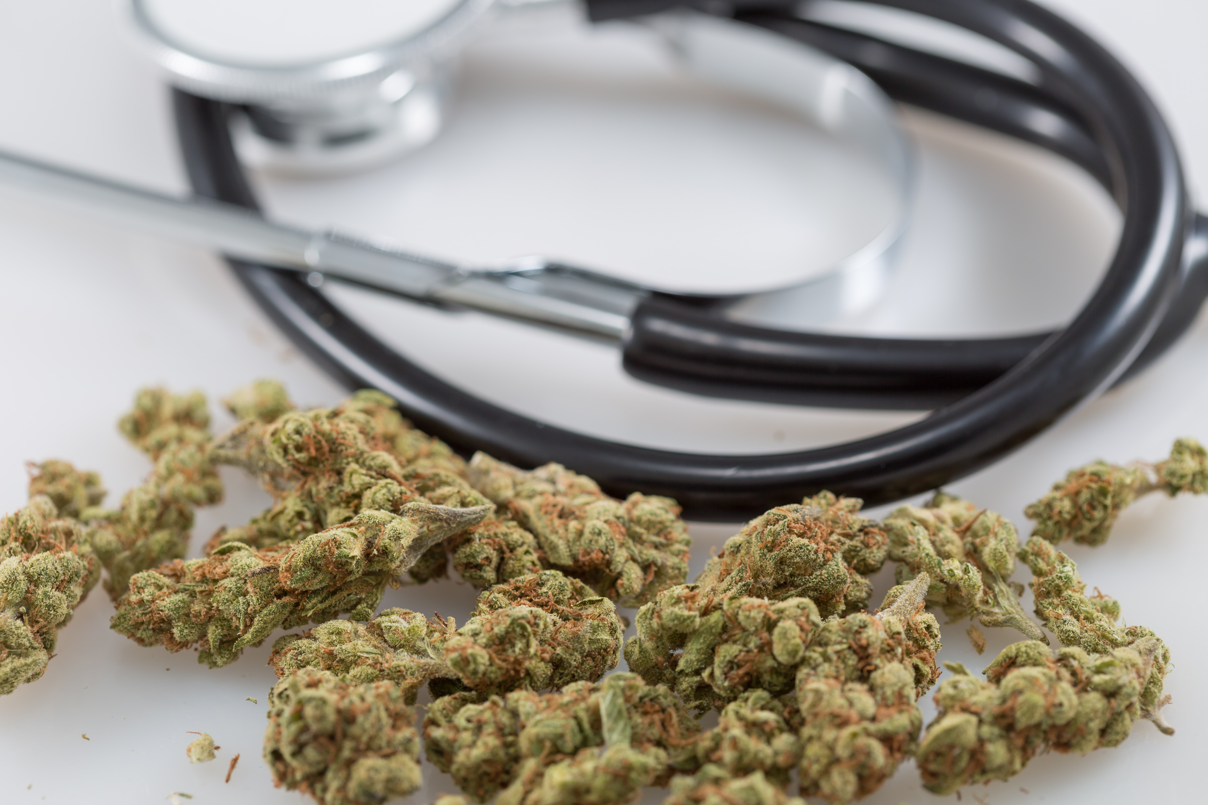 North Dakota Governor Signs Bill Letting People In Hospice Care Self-Certify As Medical Marijuana Patients!