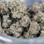 Marijuana Bill Punishing Illegal Pesticides Will Protect Medical Marijuana Patients, Congressman Says At Hearing!
