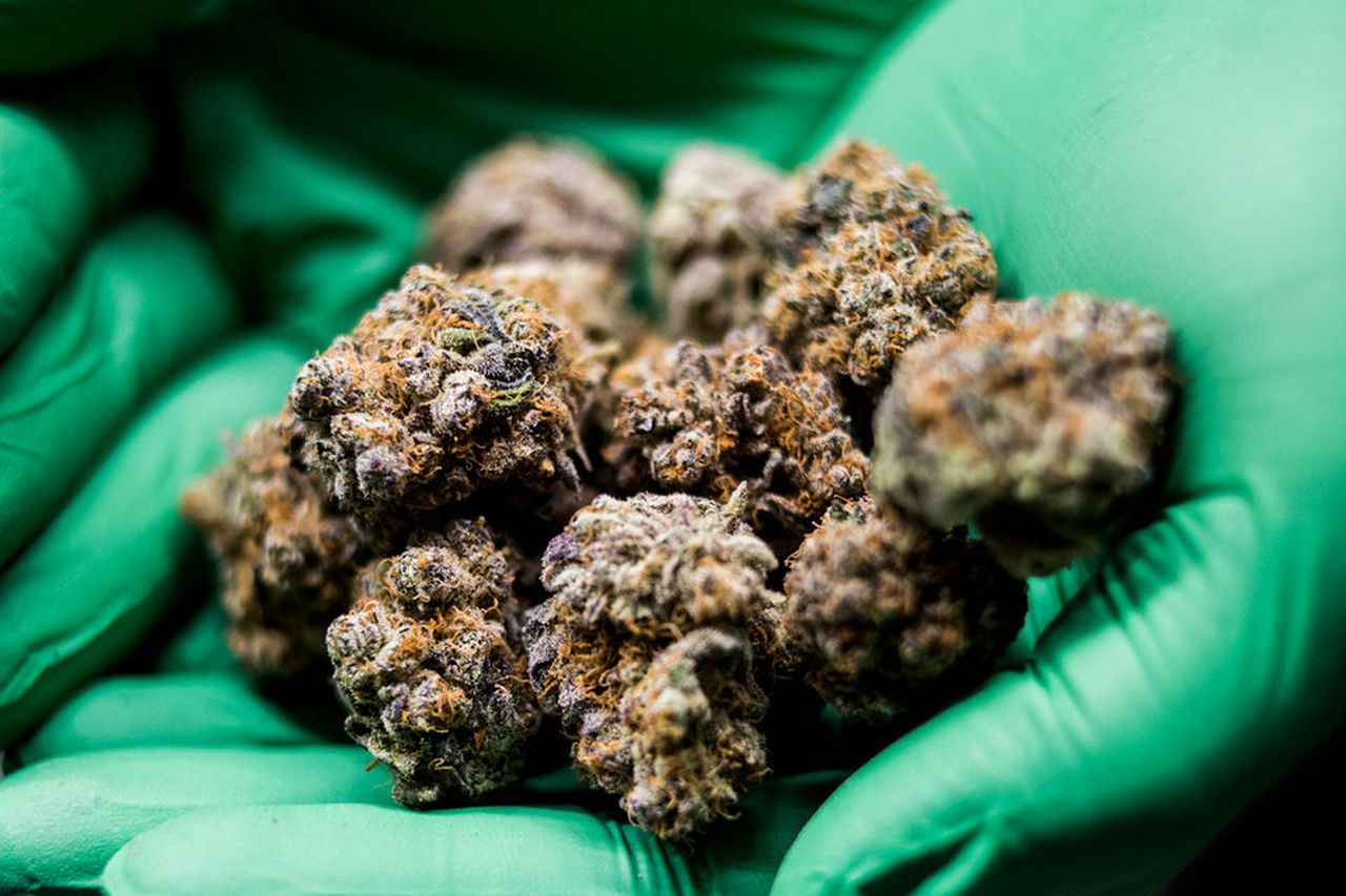 Delaware Senators Push House-Passed Marijuana Sales Law To Cabinet Together Along With Legalization Measure!
