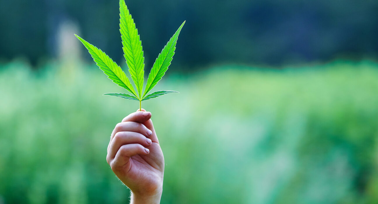 Is Massachusetts Living Up To What It Said It Would Do For Cannabis Equity?