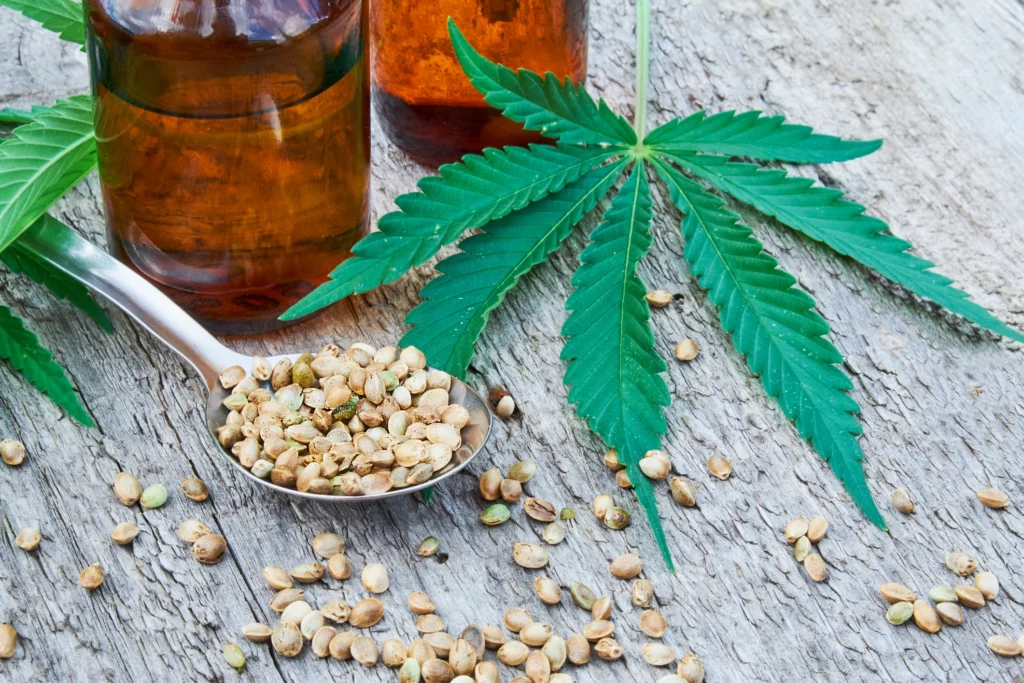 What's The Difference Between Hemp and Marijuana?
