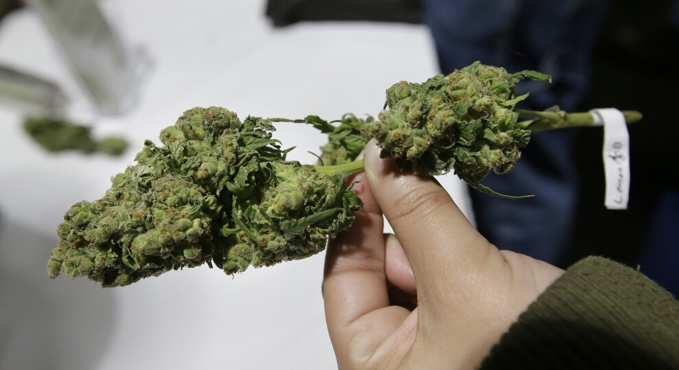 Is Massachusetts Living Up To What It Said It Would Do For Cannabis Equity?