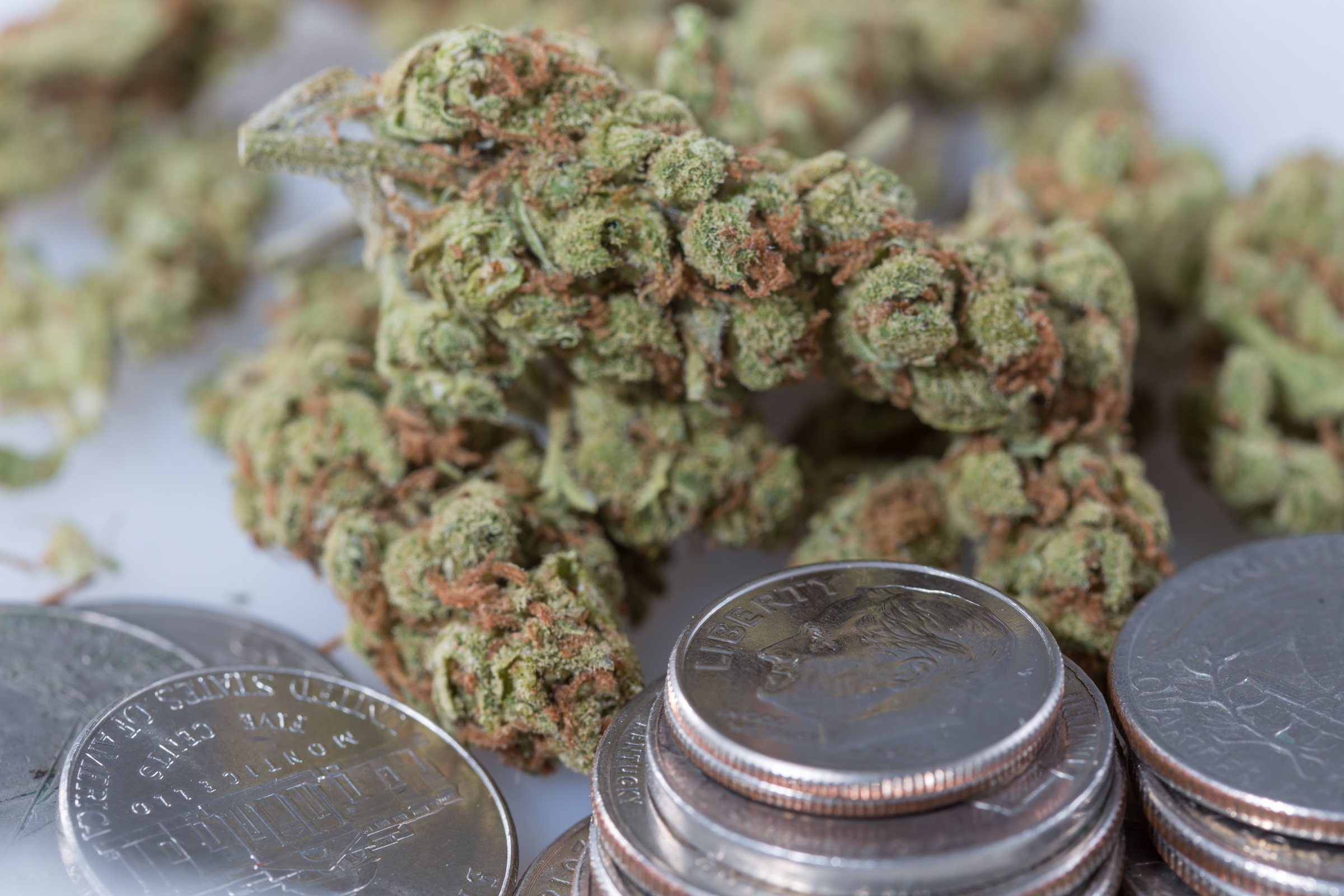 Local Marijuana Tax Ballot Measures Pass All Around Missouri!