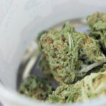 Hawaii’s Attorney General Now Backs Legalizing Marijuana And Says He Will Work To Get Reform Passed Next Year!