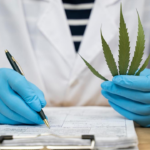 One Year After New Jersey Legalized Marijuana For Recreational Use, The Senate President Wants To Make Changes, Such As Limiting Home Grows!